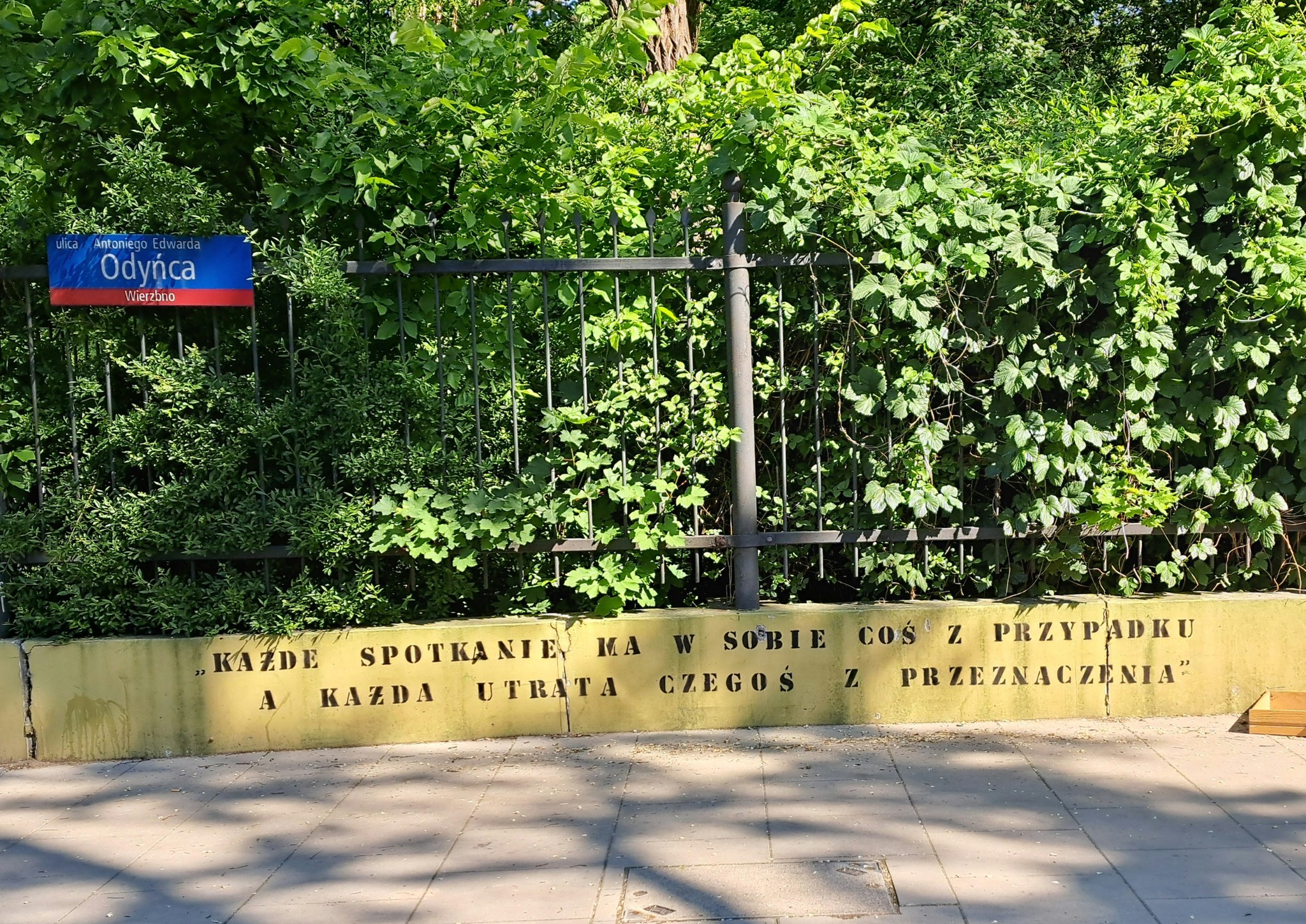 artykuły Maraton sztafet i sztafeta pokoleń