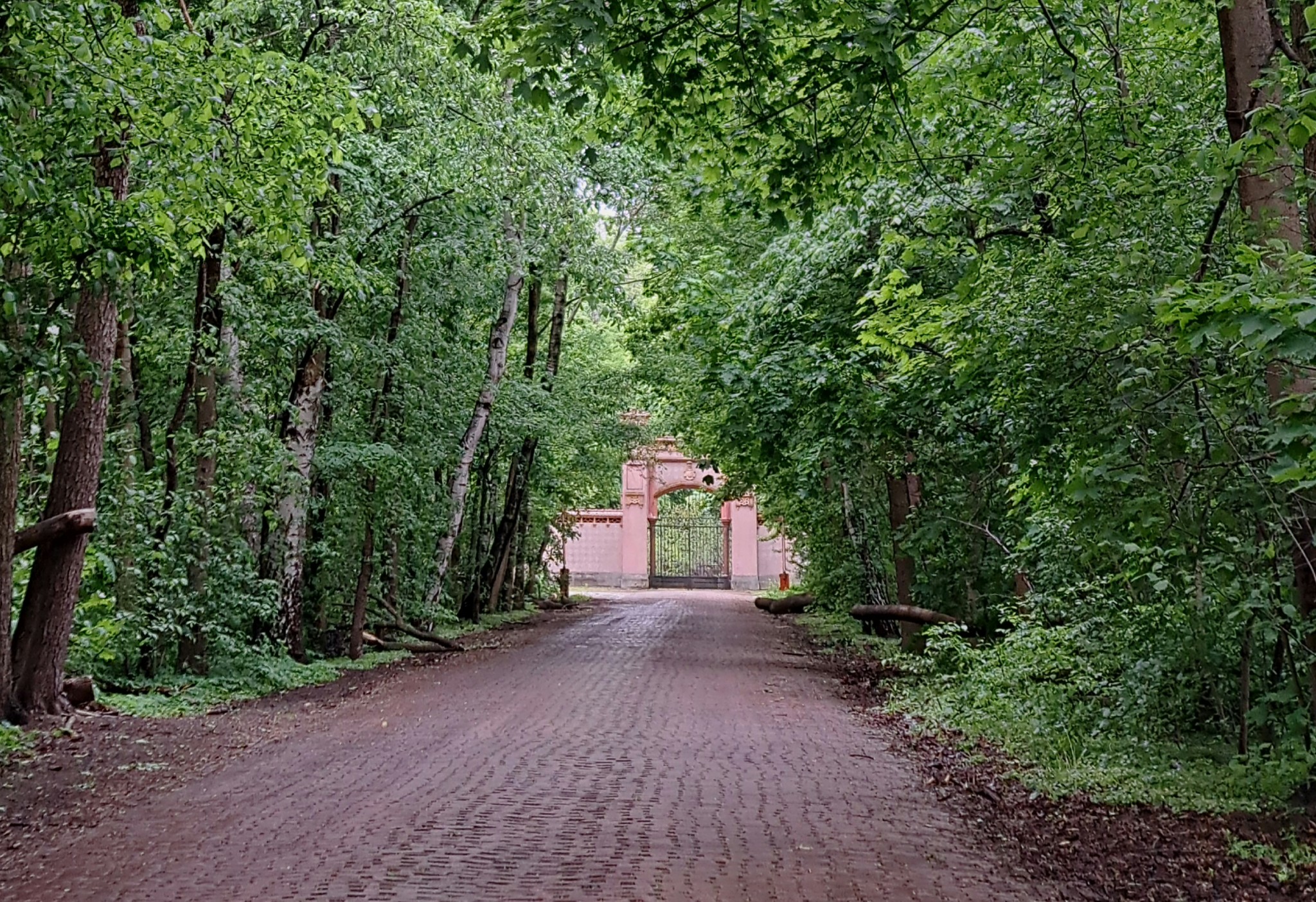 artykuły Czwarta nad ranem