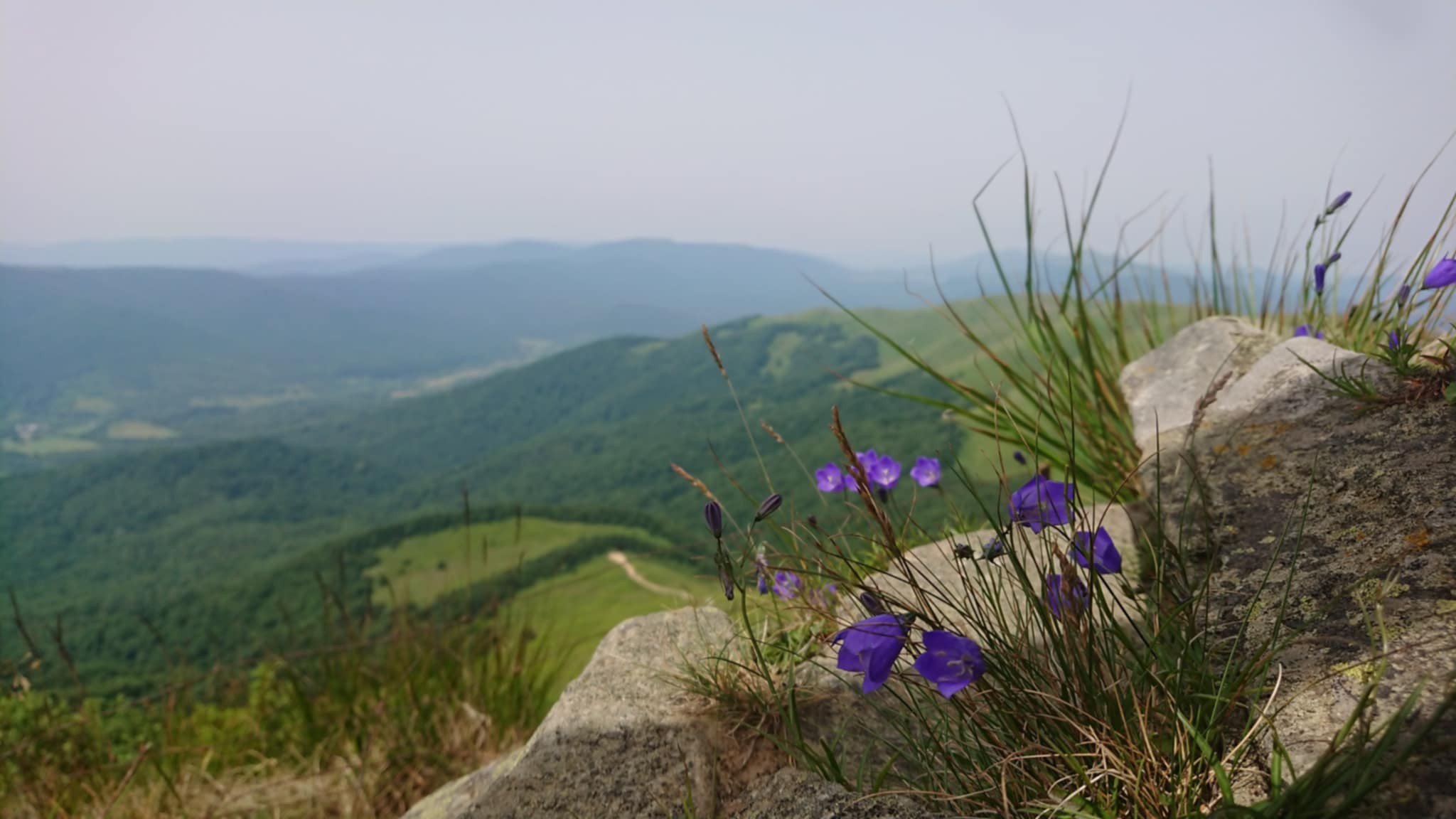 artykuły Bieszczady