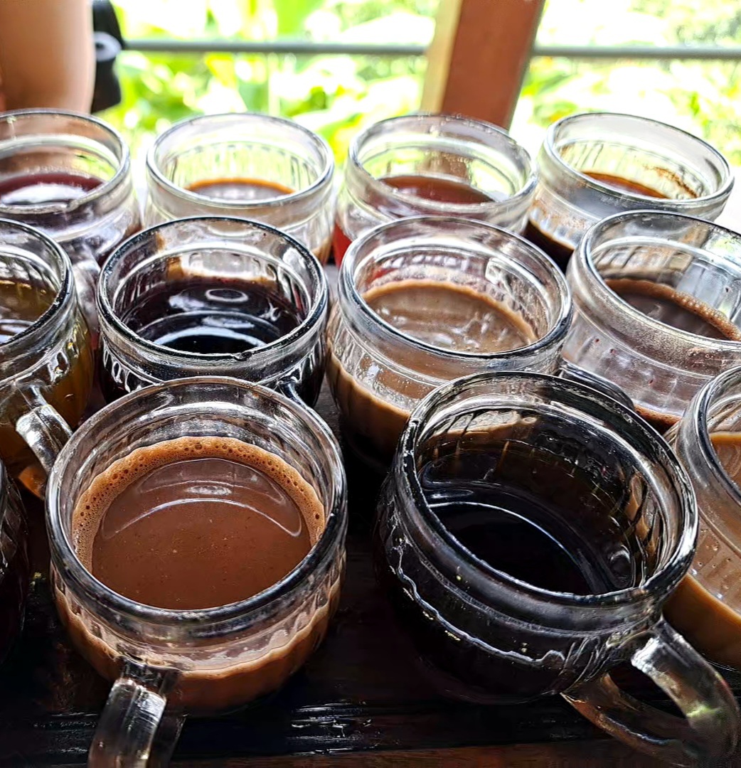 artykuły Kawa Luwak
