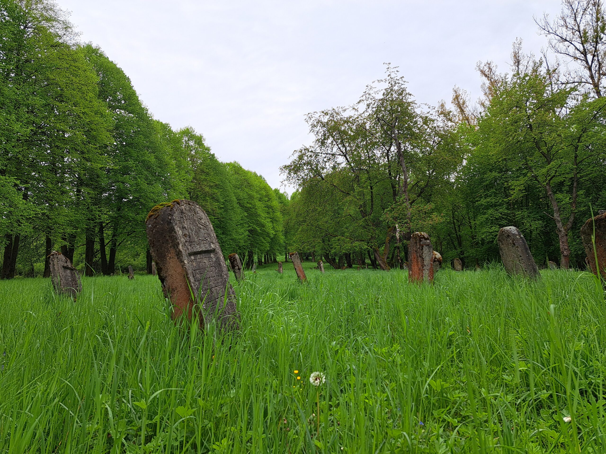 artykuły Czas